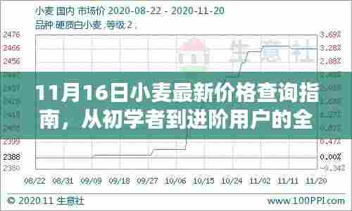 11月16日小麦最新价格查询指南，从初学者到进阶用户的全面步骤