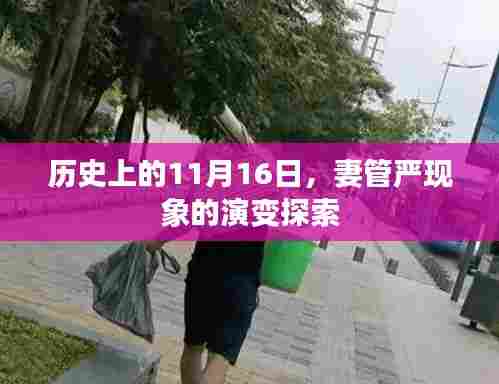 历史上的11月16日，妻管严现象的演变探索