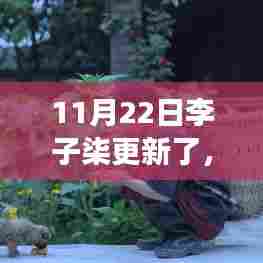 李子柒最新动态解读与观察，11月22日更新揭秘