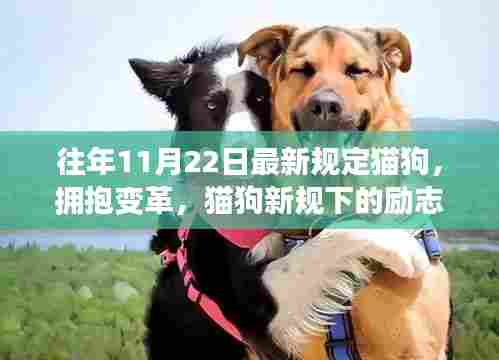 猫狗新规下的励志篇章，拥抱变革的时代宠儿