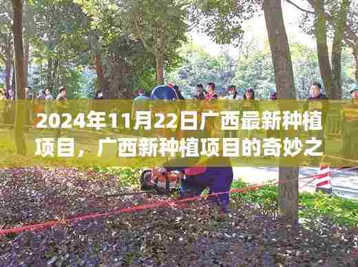 广西新种植项目奇妙之旅,爱与陪伴的种子在金秋盛开