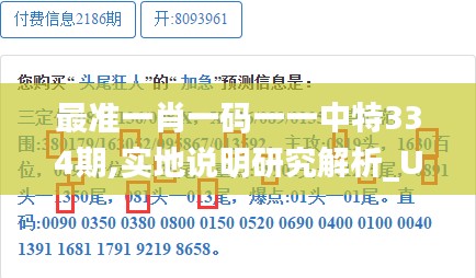 最准一肖一码一一中特334期,实地说明研究解析_UGE1.74