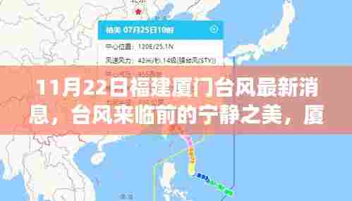 台风前夕的厦门自然探索之旅,宁静之美的邀请