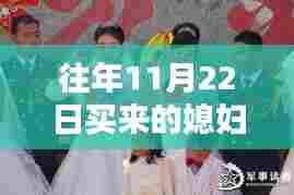 往年11月22日迎娶的媳妇，最新章节及其深远影响