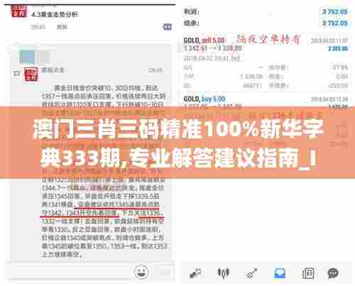 澳门三肖三码精准100%新华字典333期,专业解答建议指南_IYY1.64