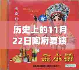 历史上的11月22日，陶府夏姨娘最新章节回顾