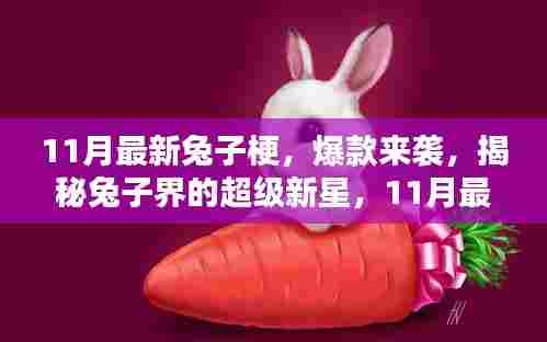 揭秘兔子界的超级新星，揭秘最新兔子梗席卷全球！