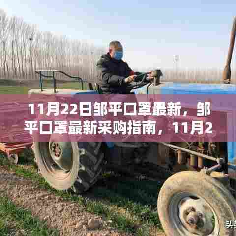11月22日邹平口罩最新采购指南，从初学者到进阶用户的选购建议