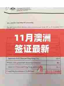 11月澳洲签证最新进度解析
