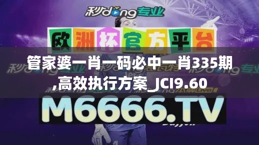 管家婆一肖一码必中一肖335期,高效执行方案_JCI9.60