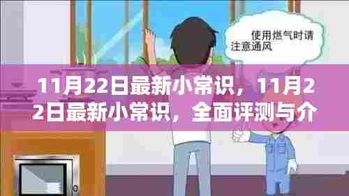 最新小常识全面评测与介绍,11月22日更新内容揭秘