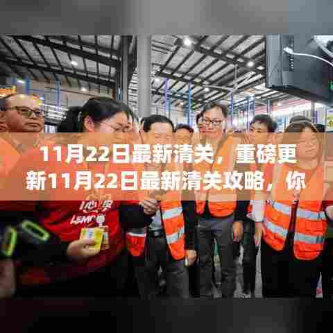 11月22日最新清关攻略，跨境购物必备指南