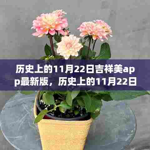 历史上的11月22日吉祥美app最新版，开启智慧之旅，自信成就未来之路
