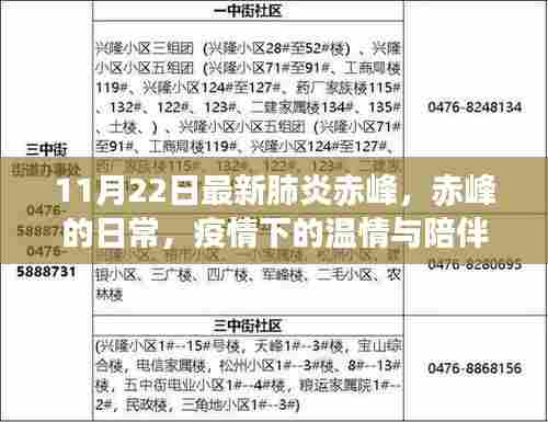赤峰疫情下的温情与陪伴，日常观察与记录
