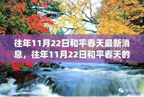 草草了事 第5页