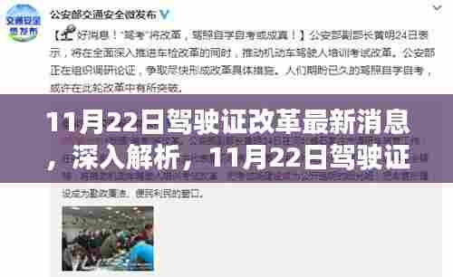 11月22日驾驶证改革深度解析与全方位评测，特性、体验、竞争对比及目标用户群体