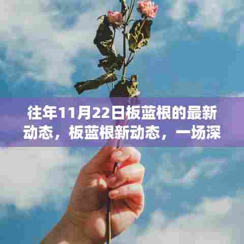 探寻深秋板蓝根新动态,自然之旅与内心的宁静与平和
