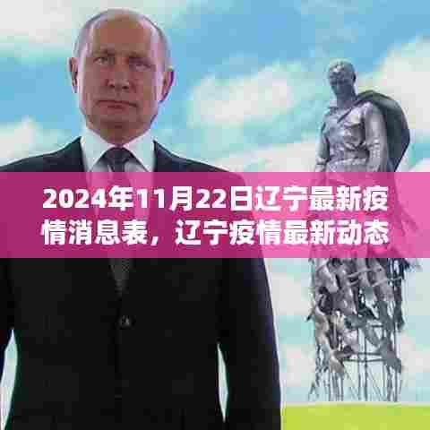 2024年11月22日辽宁疫情最新动态与回顾，影响分析与现状