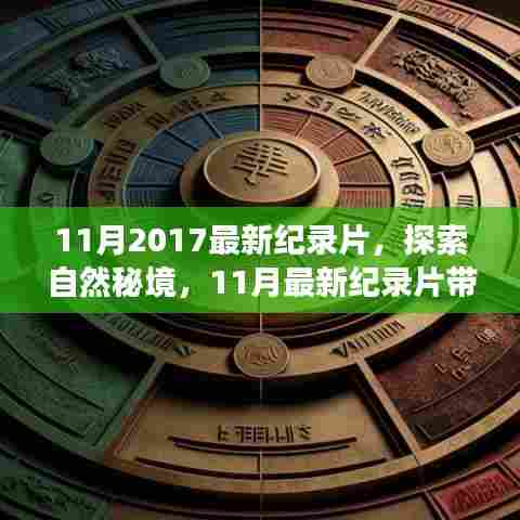 探索自然秘境，心灵之旅的纪录片盛宴