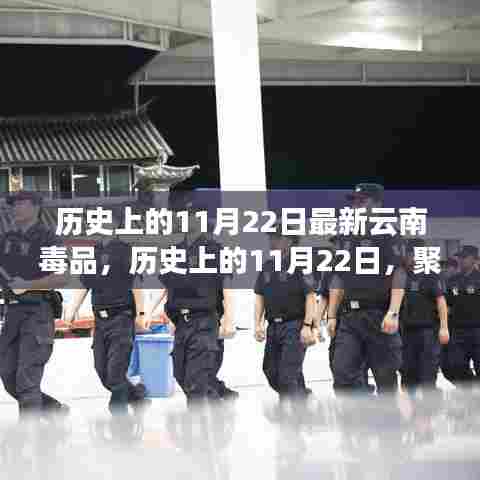 历史上的11月22日，聚焦云南毒品现状及其深远影响