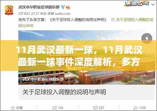 11月武汉最新一球事件，多角度深度解析与我的观点