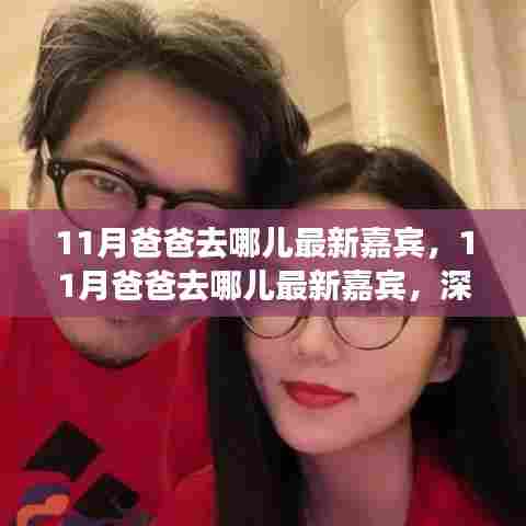 深度评测与介绍,揭秘11月爸爸去哪儿最新嘉宾