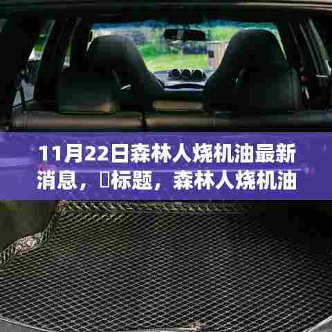 森林人烧机油事件背后的故事，变化、学习与自信的力量，最新消息揭秘