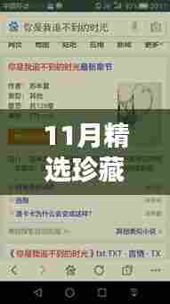 11月精选珍藏热门章节txt，珍藏时光，揭秘十一月精选热门章节的魅力