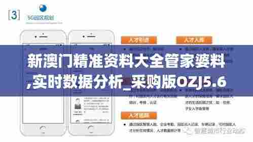新澳门精准资料大全管家婆料,实时数据分析_采购版OZJ5.6