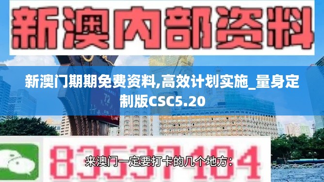 新澳门期期免费资料,高效计划实施_量身定制版CSC5.20
