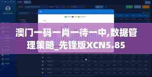 澳门一码一肖一待一中,数据管理策略_先锋版XCN5.85