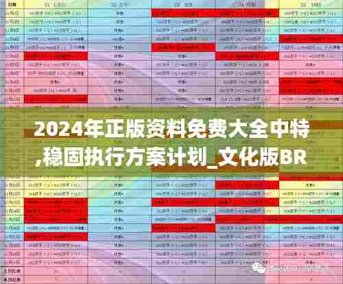 2024年正版资料免费大全中特,稳固执行方案计划_文化版BRH5.82