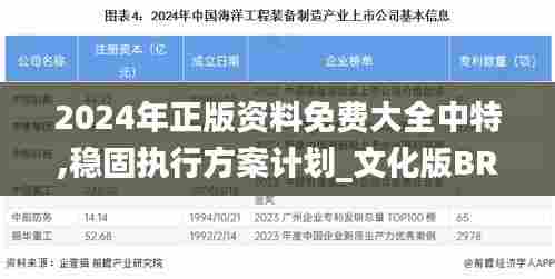 2024年正版资料免费大全中特,稳固执行方案计划_文化版BRH5.82