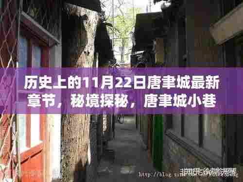 秘境探秘，唐聿城小巷特色小店与神秘章节揭秘