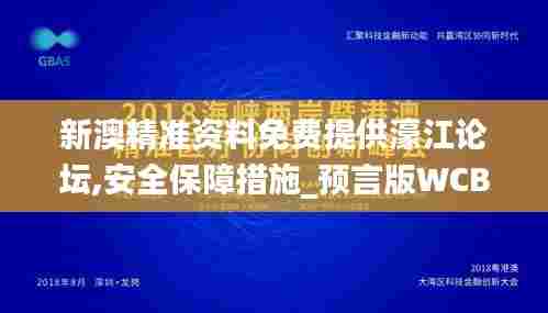 新澳精准资料免费提供濠江论坛,安全保障措施_预言版WCB5.65