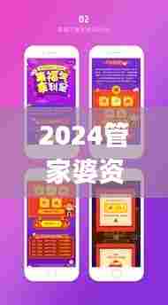 2024管家婆资料正版大全,稳固执行方案计划_家居版VOH5.31