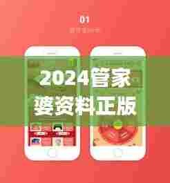 2024管家婆资料正版大全,稳固执行方案计划_家居版VOH5.31