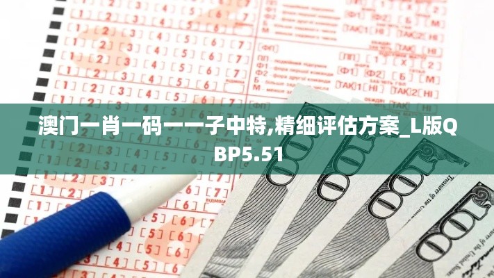 澳门一肖一码一一子中特,精细评估方案_L版QBP5.51