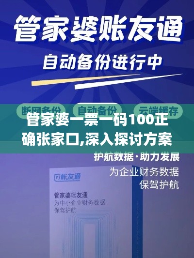 管家婆一票一码100正确张家口,深入探讨方案策略_优雅版ECI5.79