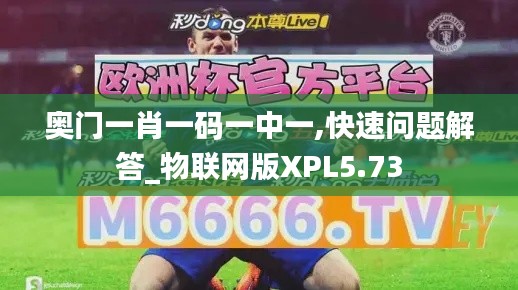 奥门一肖一码一中一,快速问题解答_物联网版XPL5.73