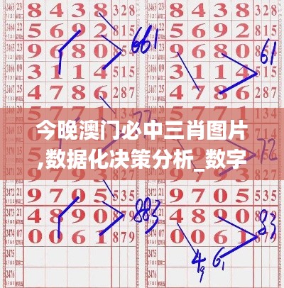 今晚澳门必中三肖图片,数据化决策分析_数字处理版WJH5.38