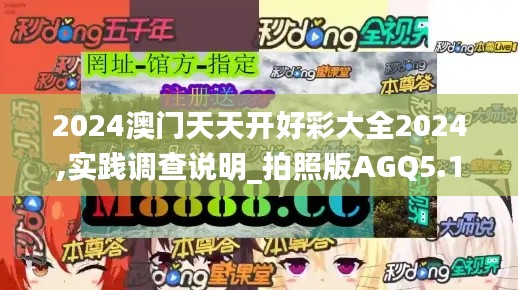 2024澳门天天开好彩大全2024,实践调查说明_拍照版AGQ5.1