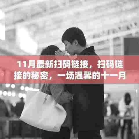 十一月最新扫码链接揭秘，开启友情之旅的温馨密码