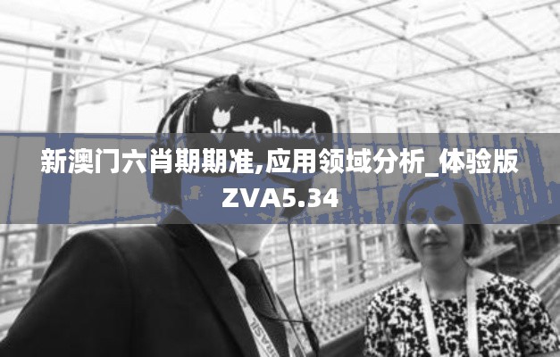 新澳门六肖期期准,应用领域分析_体验版ZVA5.34