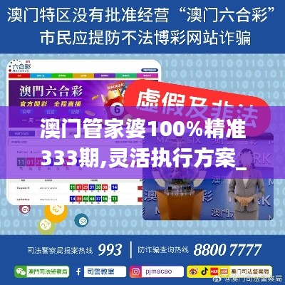 澳门管家婆100%精准333期,灵活执行方案_设计师版KMR11.15