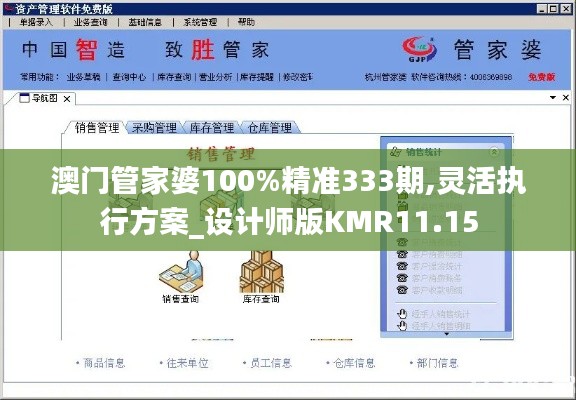 澳门管家婆100%精准333期,灵活执行方案_设计师版KMR11.15