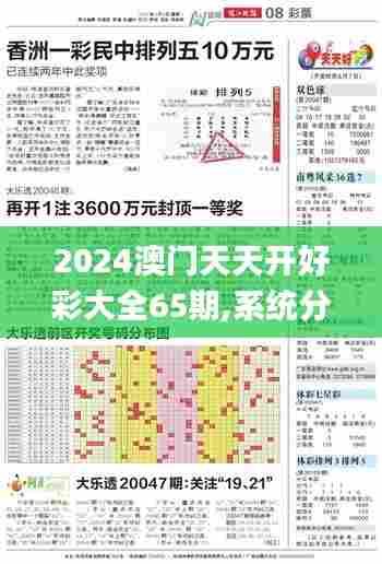 2024澳门天天开好彩大全65期,系统分析方案设计_体验版OKP5.93