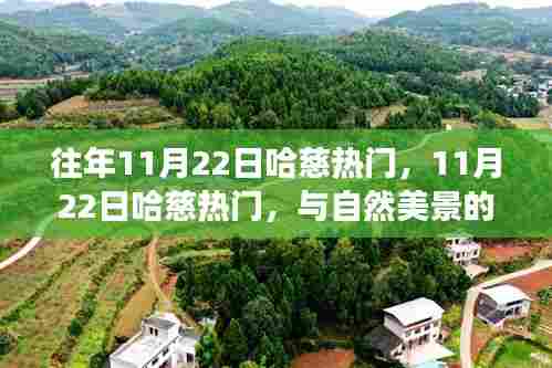 11月22日哈慈热门与自然美景的邂逅,寻找内心平和之旅的启程点