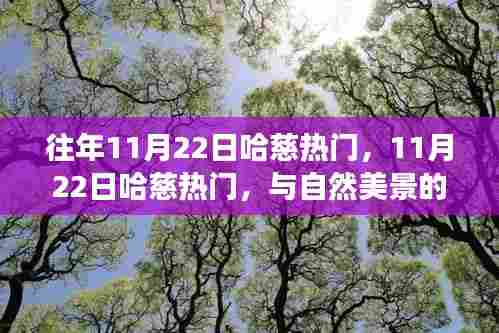 11月22日哈慈热门与自然美景的邂逅,寻找内心平和之旅的启程点