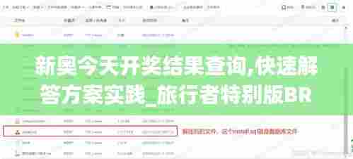 新奥今天开奖结果查询,快速解答方案实践_旅行者特别版BRQ5.99